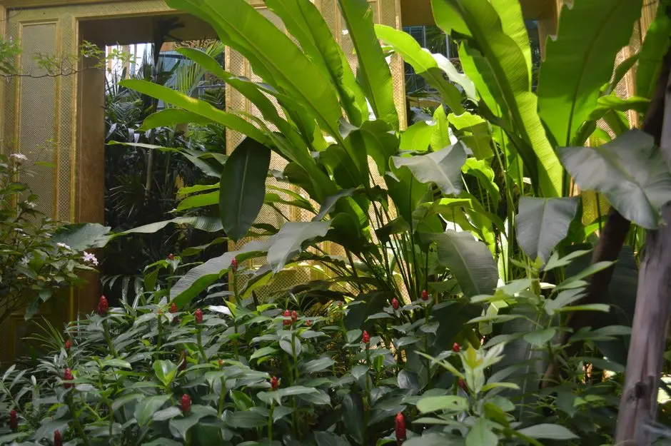 Greens & Outdoors at BRIGADE KANAKAPURA ROAD PREMIUM RESIDENTIAL DEVELOPMENT (400 CR GDV), Bangalore