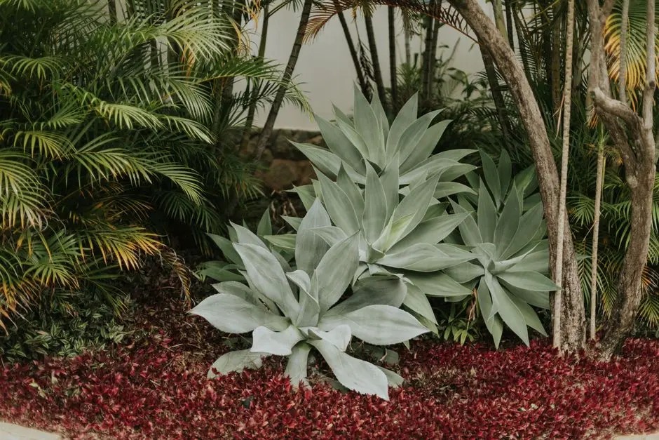 Greens & Outdoors at BRIGADE OMR MIXED-USE DESTINATION, Tharamani, Chennai