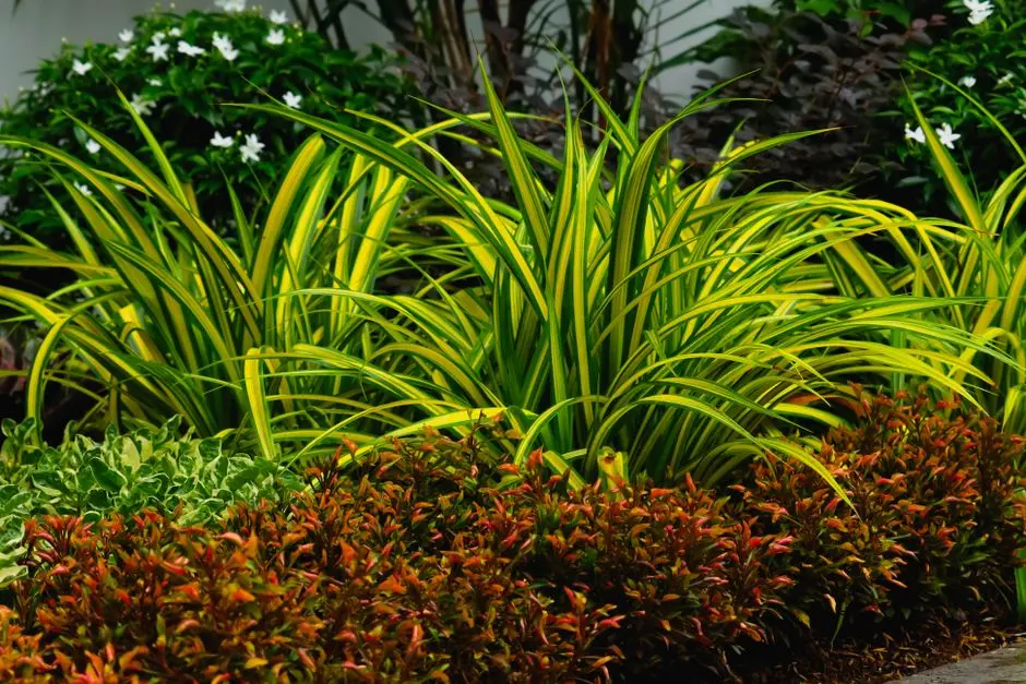 Greens & Outdoors at BRIGADE LUXURY ISLAND RESORT AT VAIKOM, Vembanad Backwaters, Vaikom