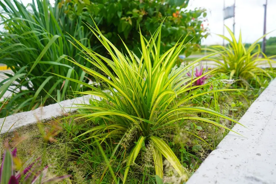 Greens & Outdoors at BRIGADE AVINASHI ROAD, Peelamedu, Coimbatore