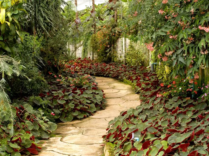 Greens & Outdoors at BRIGADE AZALEA AT BRIGADE MEADOWS, Kaggalipura, Bangalore