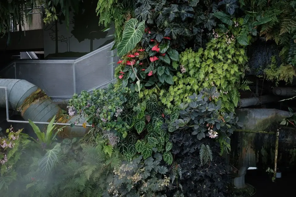 Greens & Outdoors at BRIGADE CITADEL 3, Moti Nagar, Hyderabad