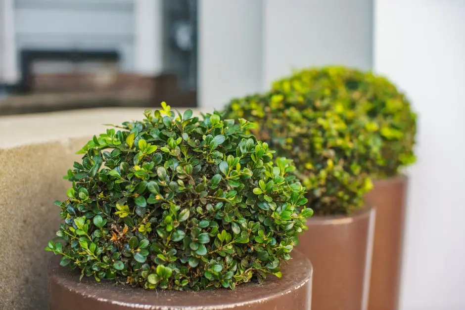 Greens & Outdoors at BRIGADE CITADEL 2 AND CITADEL 3, Moti Nagar, Hyderabad