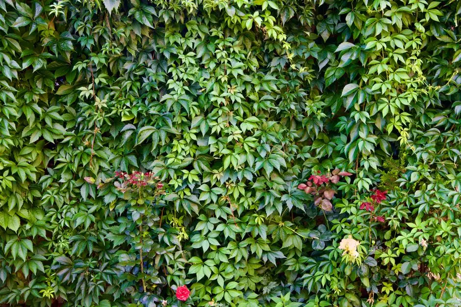 Greens & Outdoors at BRIGADE GUNJUR, Bangalore
