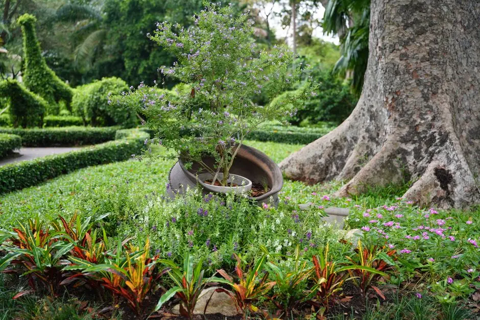 Greens & Outdoors at BRIGADE WHITEFIELD MIXED-USE DEVELOPMENT, Bangalore