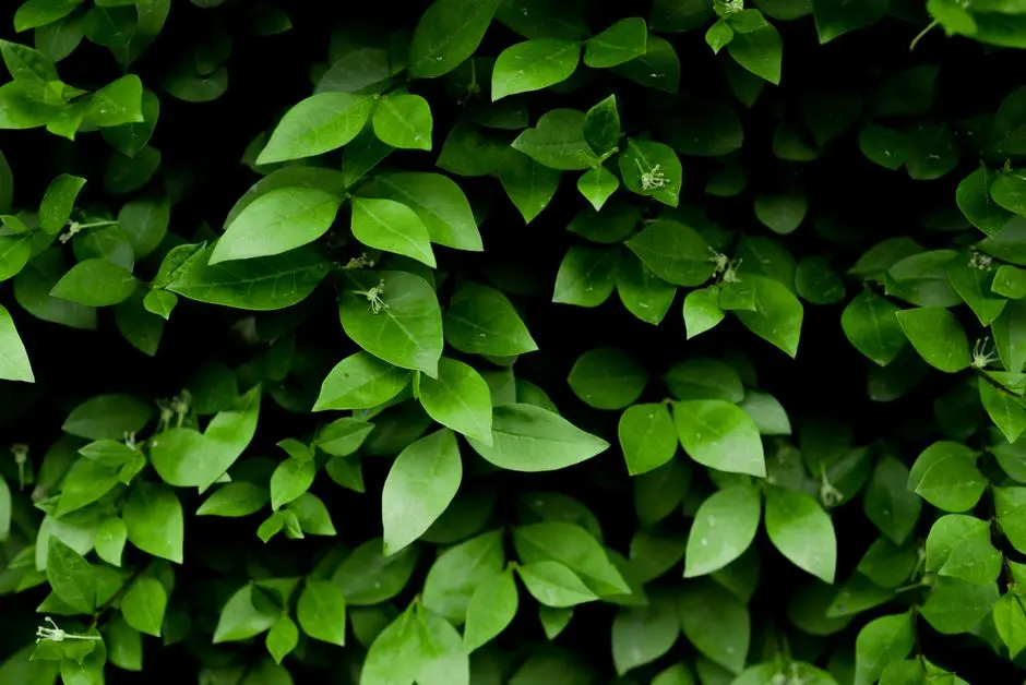 Greens & Outdoors at BRIGADE GUNJUR RESIDENTIAL TOWNSHIP, Bangalore