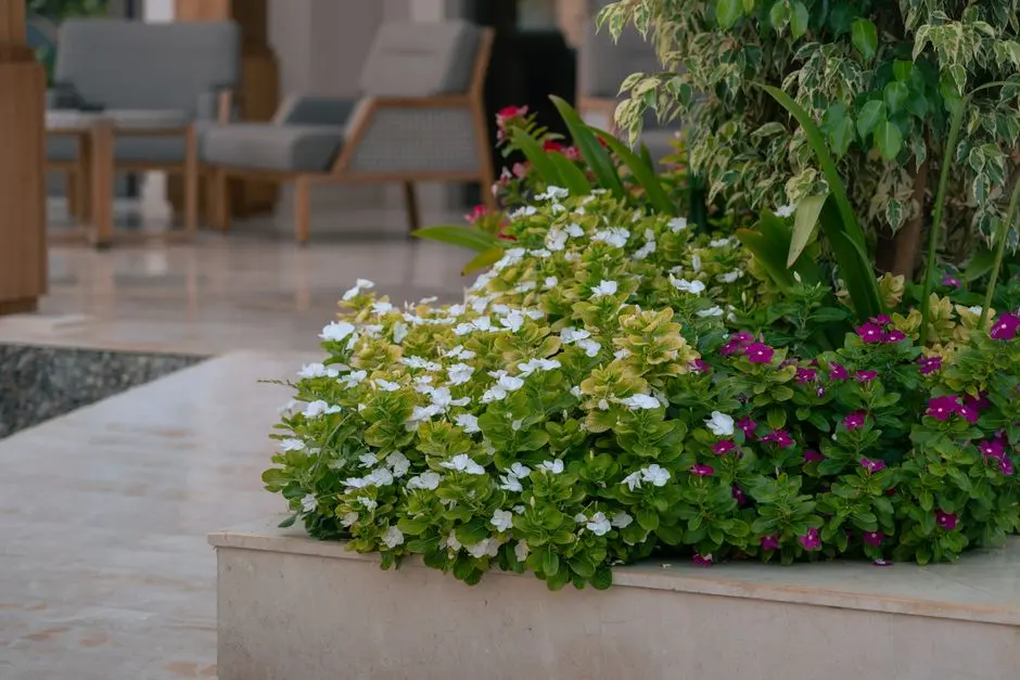 Greens & Outdoors at BRIGADE WHITEFIELD–HOSKOTE MIXED-USE DEVELOPMENT, Bangalore