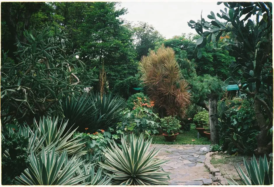 Greens & Outdoors at BRIGADE GATEWAY AT NEOPOLIS, Neopolis, Kokapet, Hyderabad