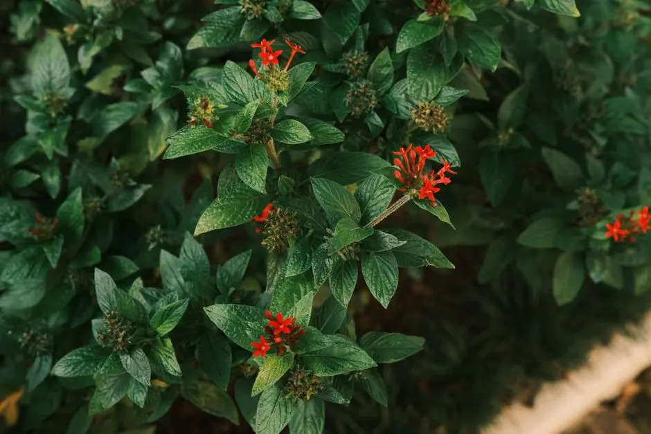 Greens & Outdoors at BRIGADE SANCTUARY, Dommasandra, Bangalore