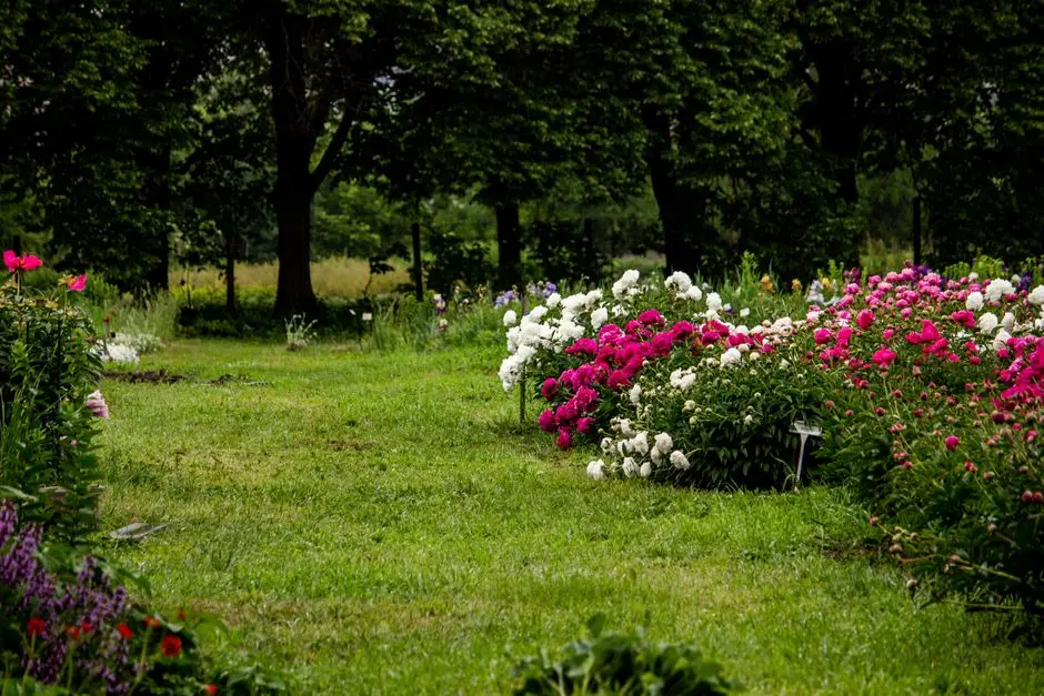 Greens & Outdoors at BRIGADE WHITEFIELD RESIDENTIAL PROJECT, Bangalore
