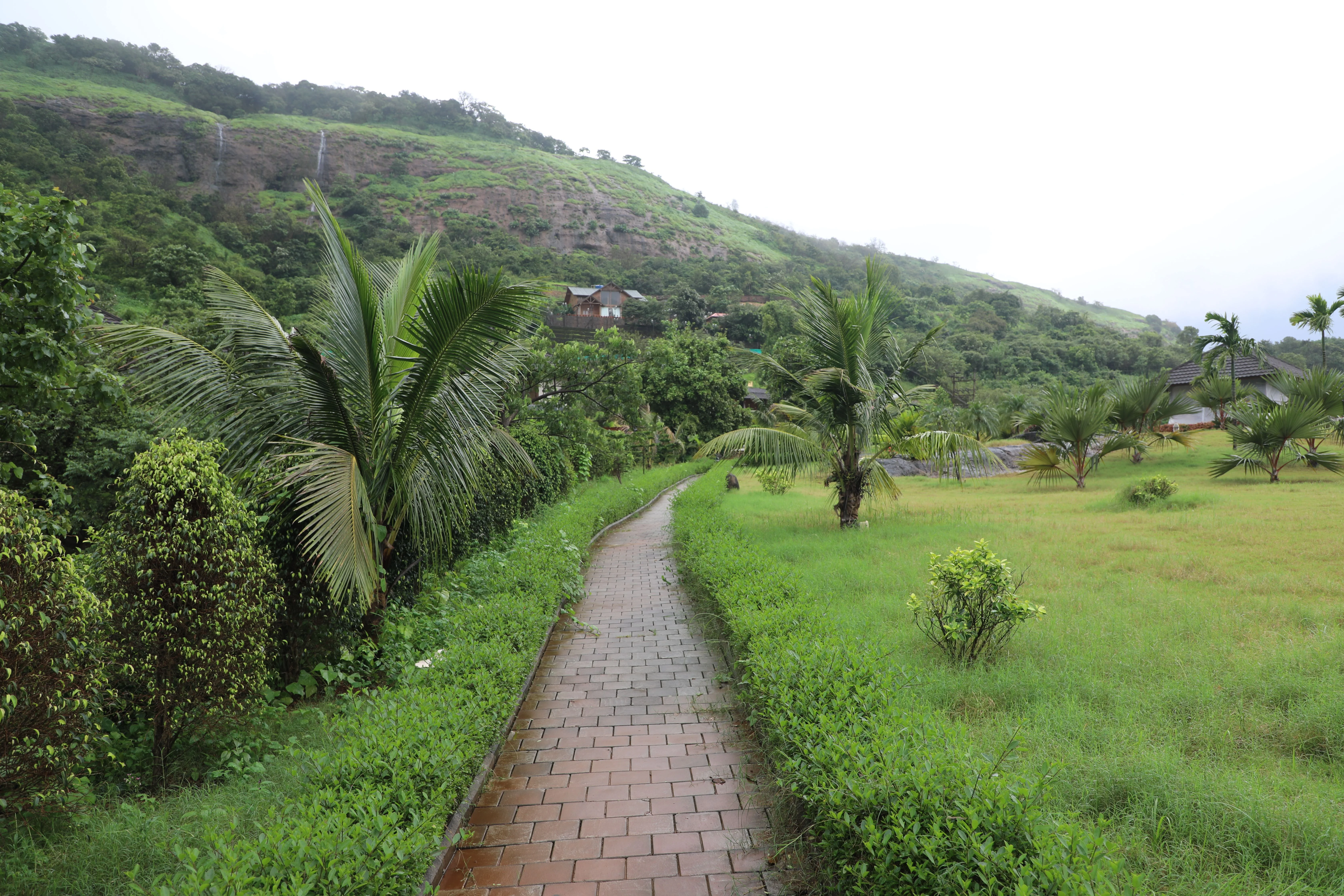 Greens & Outdoors at BRIGADE LUMINA, Chikkabidarakallu, Bangalore