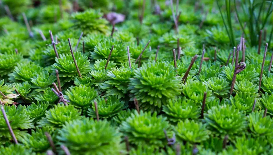 Greens & Outdoors at BRIGADE JW MARRIOTT CHENNAI OMR, Perungudi, Chennai