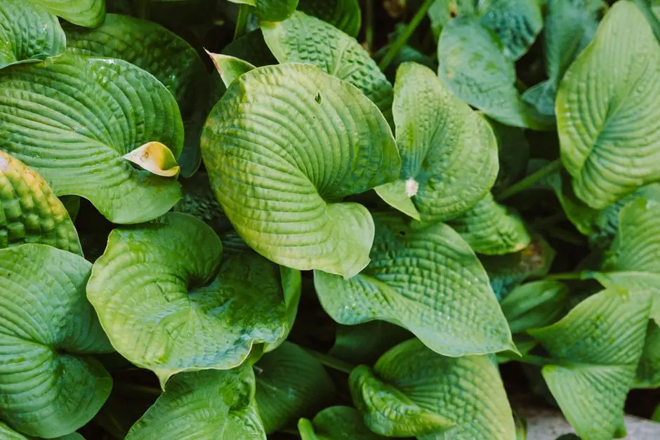 Greens & Outdoors at BRIGADE TECH BOULEVARD, Pallavaram-Thoraipakkam, Chennai