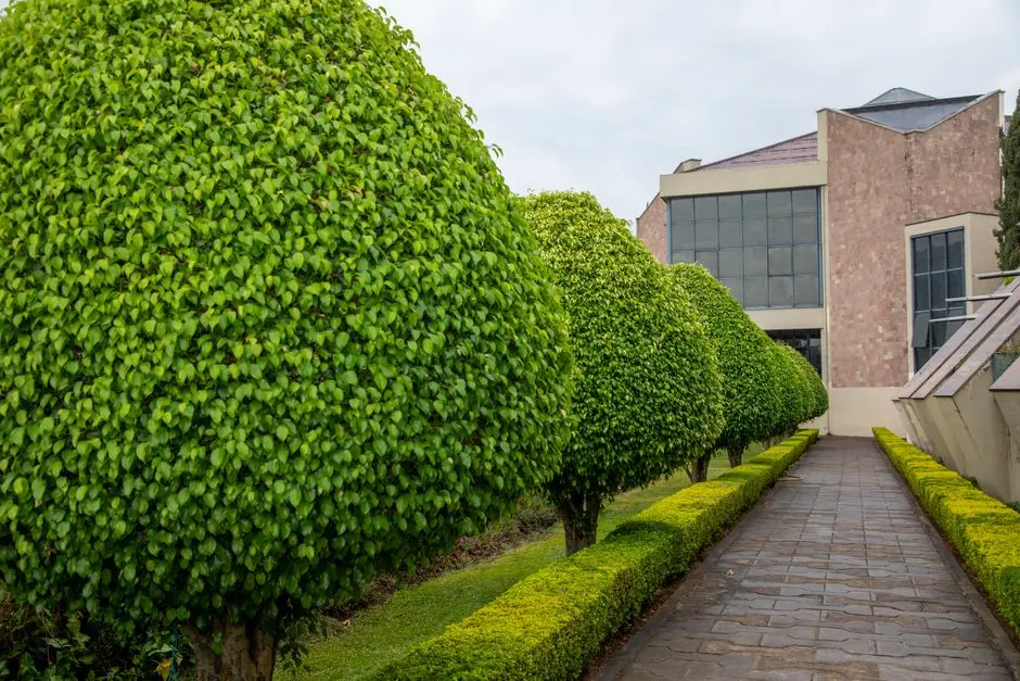 Greens & Outdoors at BRIGADE OLD MADRAS ROAD, KR Puram, Bangalore