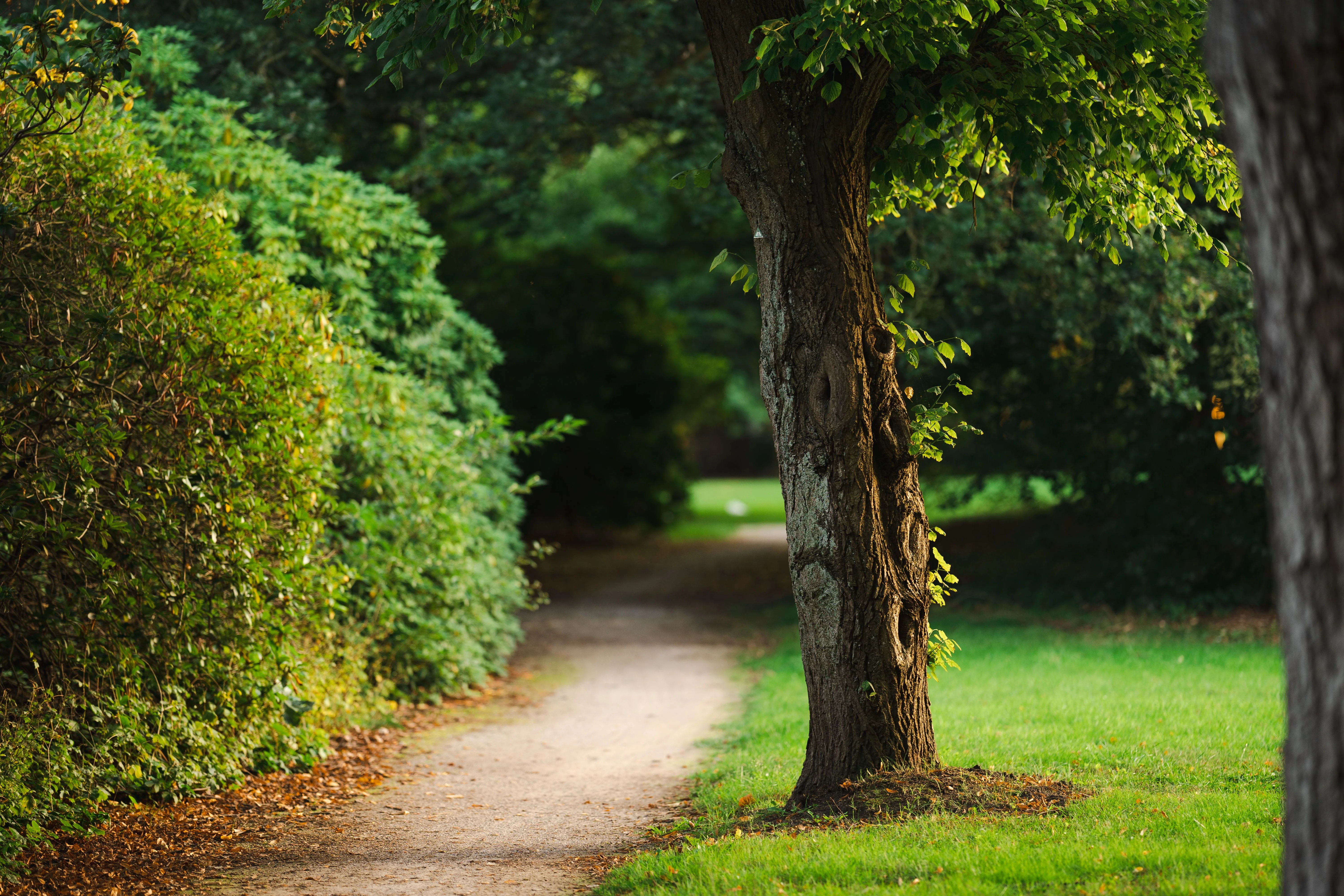 Greens & Outdoors at BRIGADE INDUSTRIAL PARK, Devanahalli, Bangalore