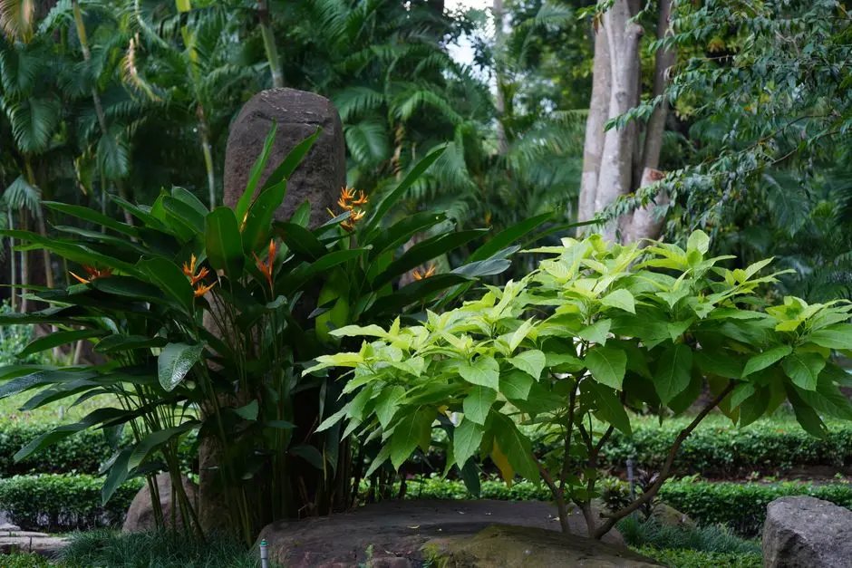 Greens & Outdoors at BRIGADE VANTAGE (OMR), Perungudi, Chennai