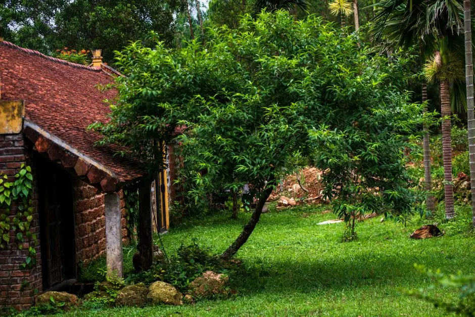 Greens & Outdoors at BRIGADE OAK TREE PLACE, KRS Road, Mysuru