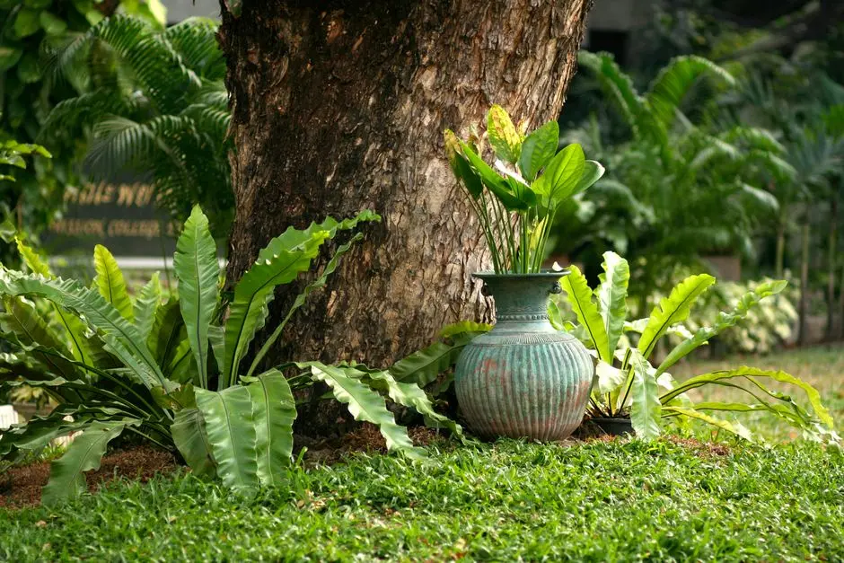Greens & Outdoors at BRIGADE GIFT CITY, Gandhinagar